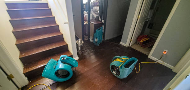 Best Ceiling water damage repair  in Visalia, CA