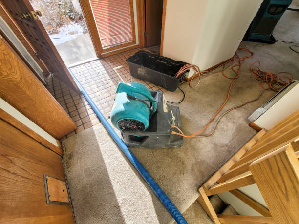 Professional Water damage restoration in Visalia, CA