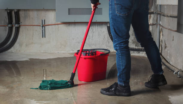  Visalia, CA Water damage restoration Pros