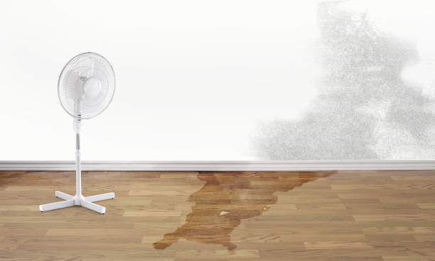 Best Fire Damage Restoration  in Visalia, CA
