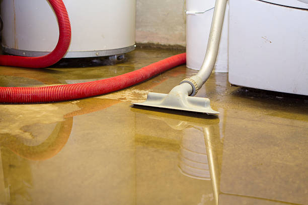 Best Water damage cleanup near me  in Visalia, CA