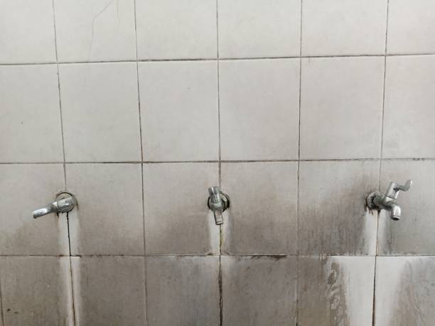 Best Professional water damage repair  in Visalia, CA