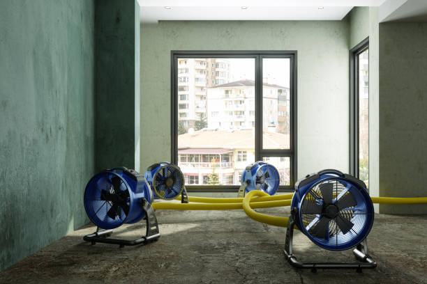 Best 24-hour water damage restoration  in Visalia, CA