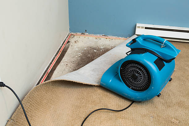 Best Water damage restoration cost  in Visalia, CA